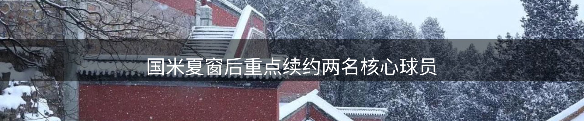 焦点动态