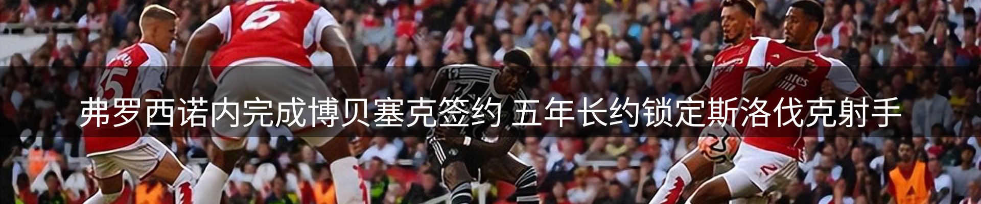 焦点动态