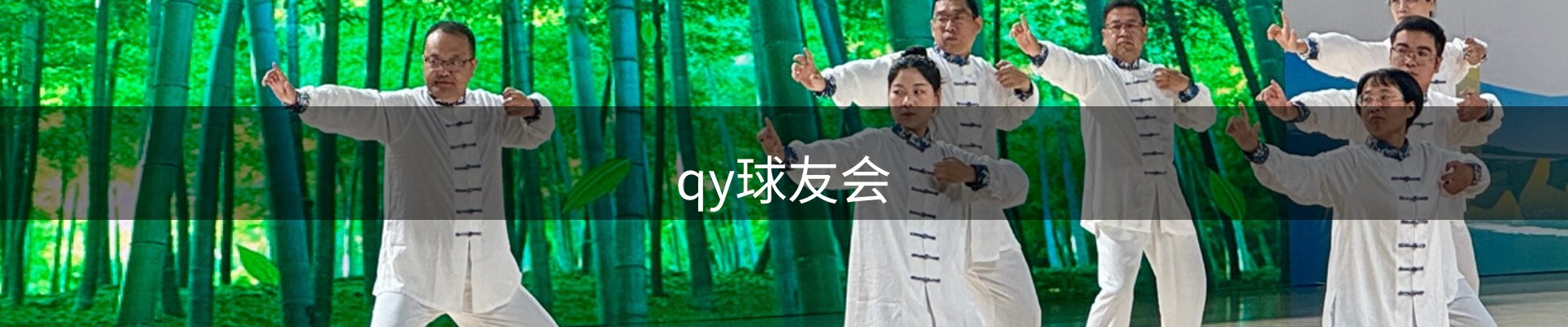 qy球友会